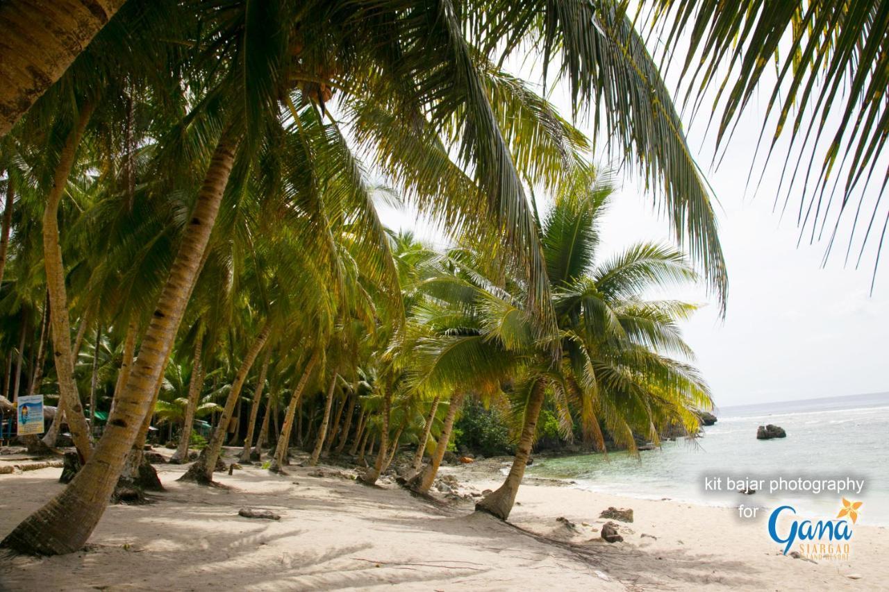 Gana Siargao Island Resort ゼネラル・ルナ エクステリア 写真